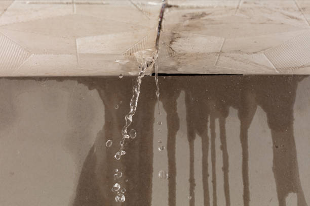 Professional Sewage Cleanup technician working in Pipe Creek, TX